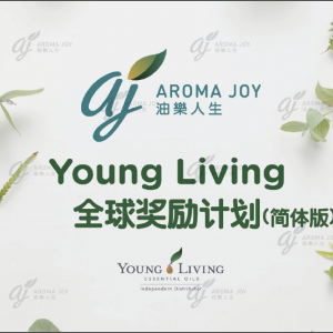 最新全球奖励计划(簡體版)(从2023年3月1日生效）